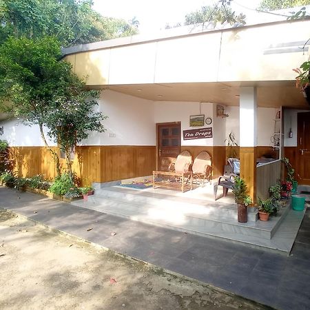 Munnar Home Stay Teadrops Plantation Villa المظهر الخارجي الصورة