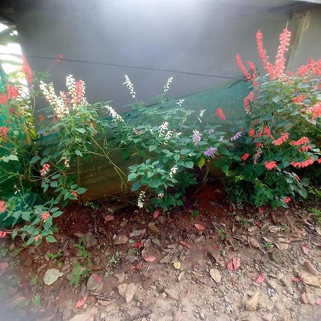 Munnar Home Stay Teadrops Plantation Villa المظهر الخارجي الصورة