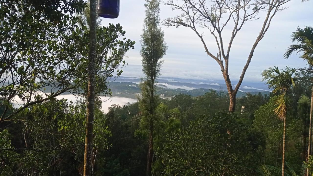 Munnar Home Stay Teadrops Plantation Villa المظهر الخارجي الصورة