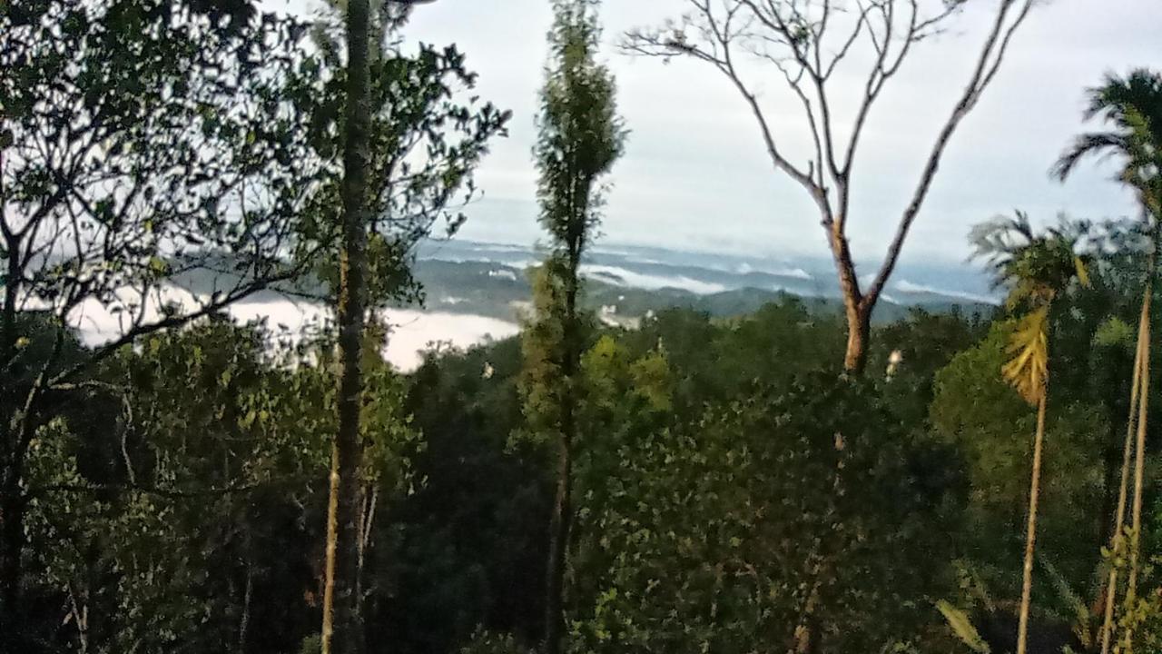 Munnar Home Stay Teadrops Plantation Villa المظهر الخارجي الصورة