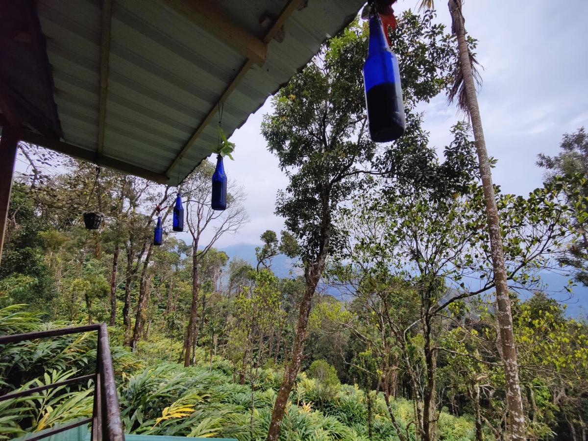 Munnar Home Stay Teadrops Plantation Villa المظهر الخارجي الصورة