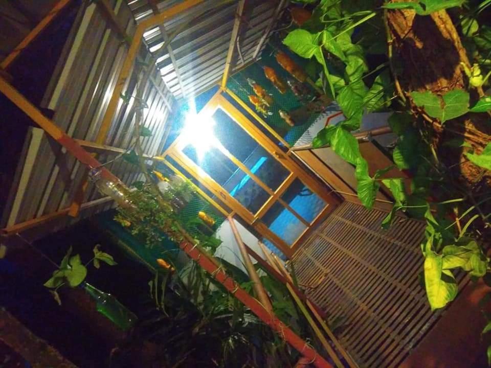 Munnar Home Stay Teadrops Plantation Villa المظهر الخارجي الصورة