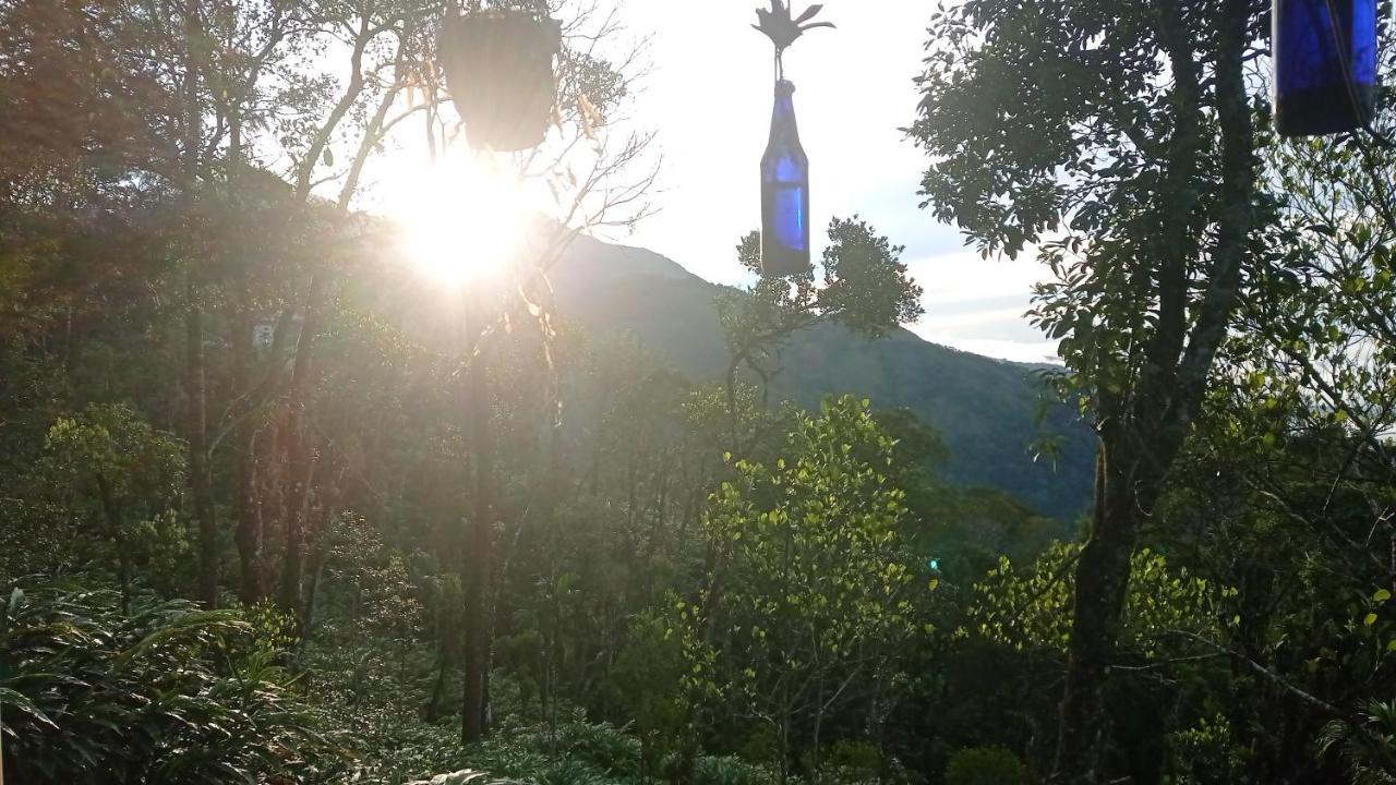 Munnar Home Stay Teadrops Plantation Villa المظهر الخارجي الصورة