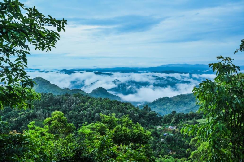 Munnar Home Stay Teadrops Plantation Villa المظهر الخارجي الصورة