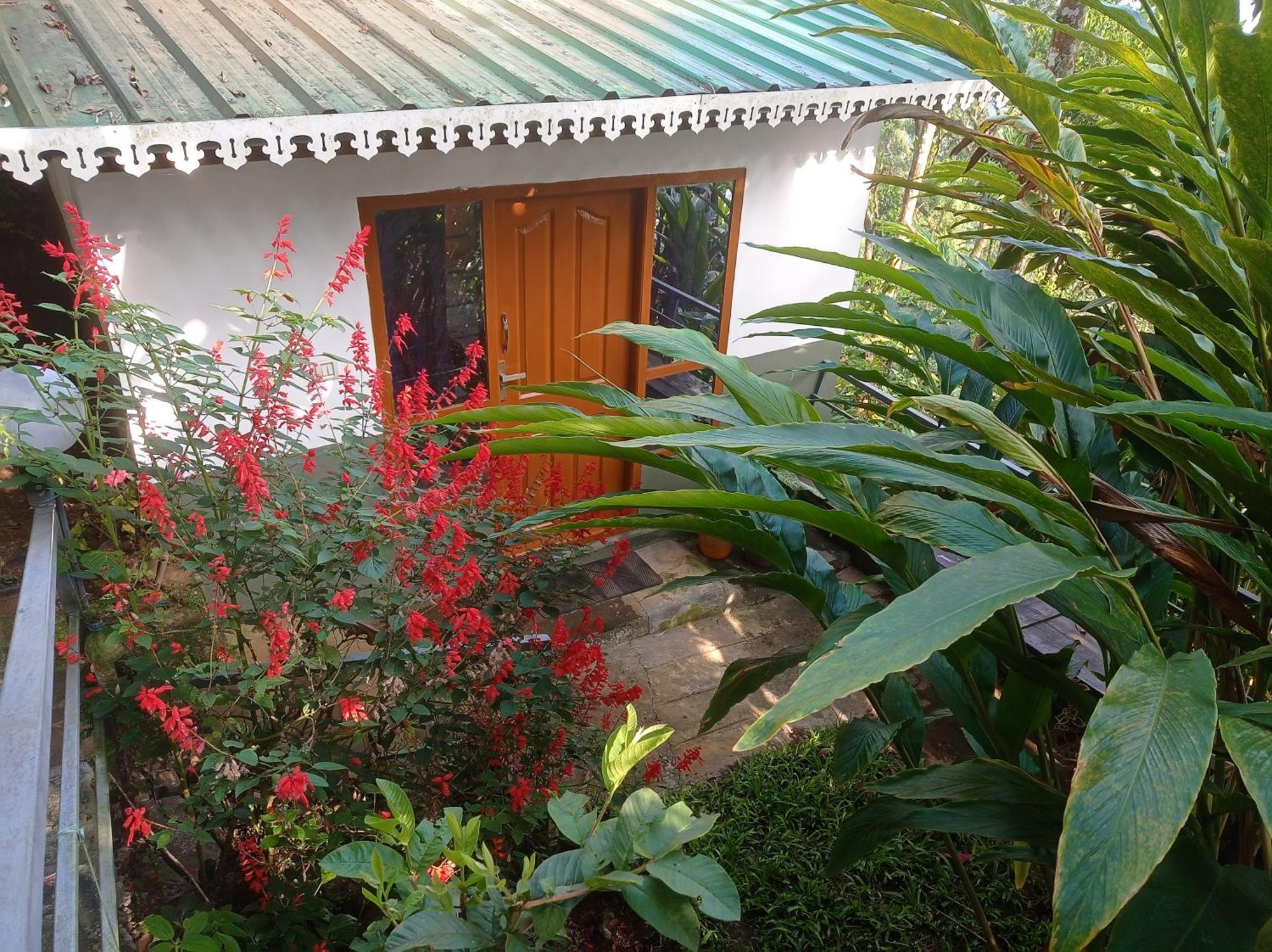 Munnar Home Stay Teadrops Plantation Villa المظهر الخارجي الصورة