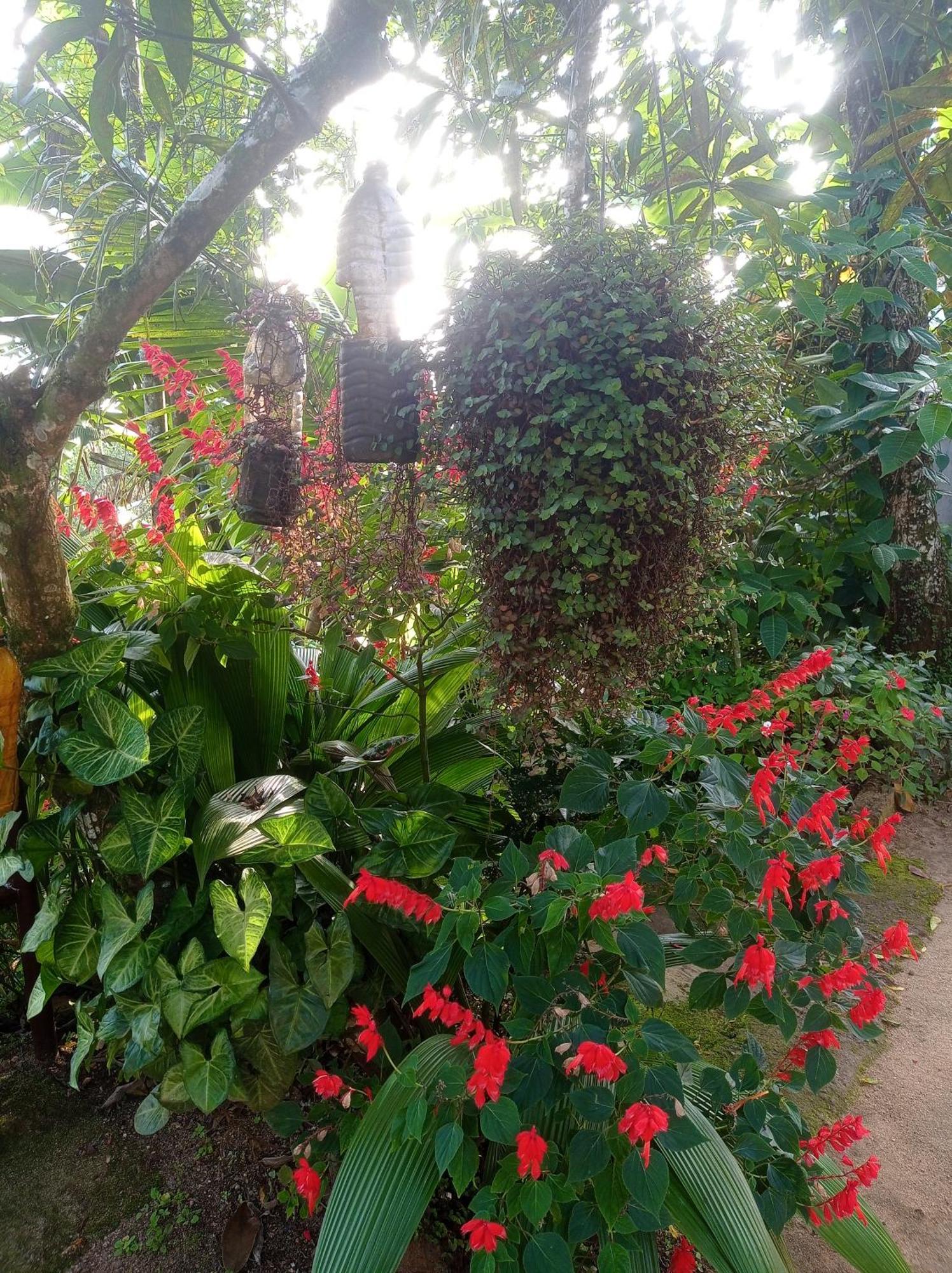 Munnar Home Stay Teadrops Plantation Villa المظهر الخارجي الصورة