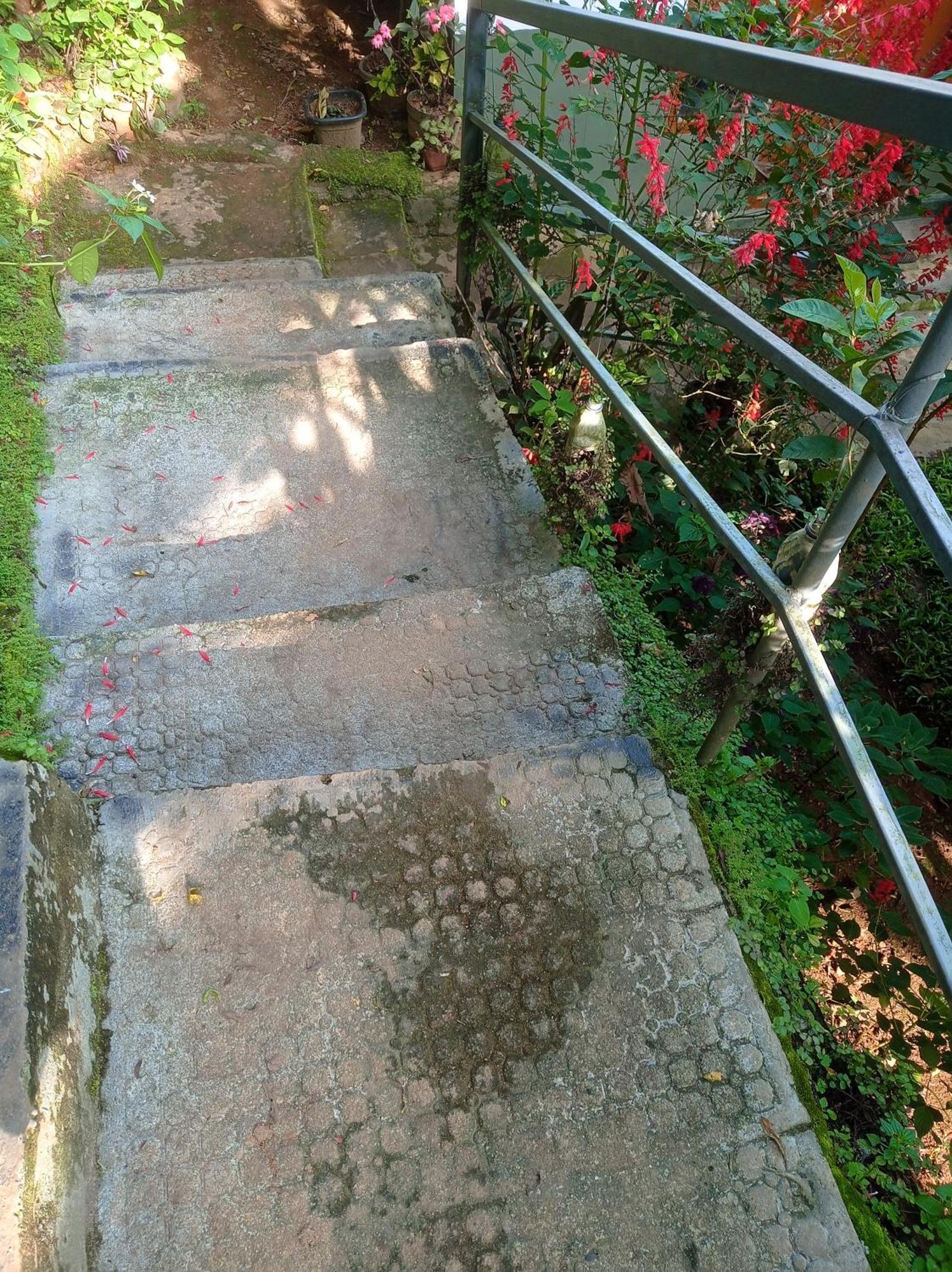 Munnar Home Stay Teadrops Plantation Villa المظهر الخارجي الصورة
