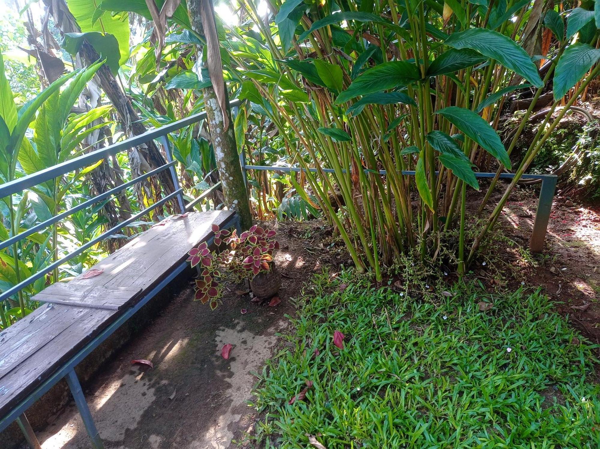 Munnar Home Stay Teadrops Plantation Villa المظهر الخارجي الصورة