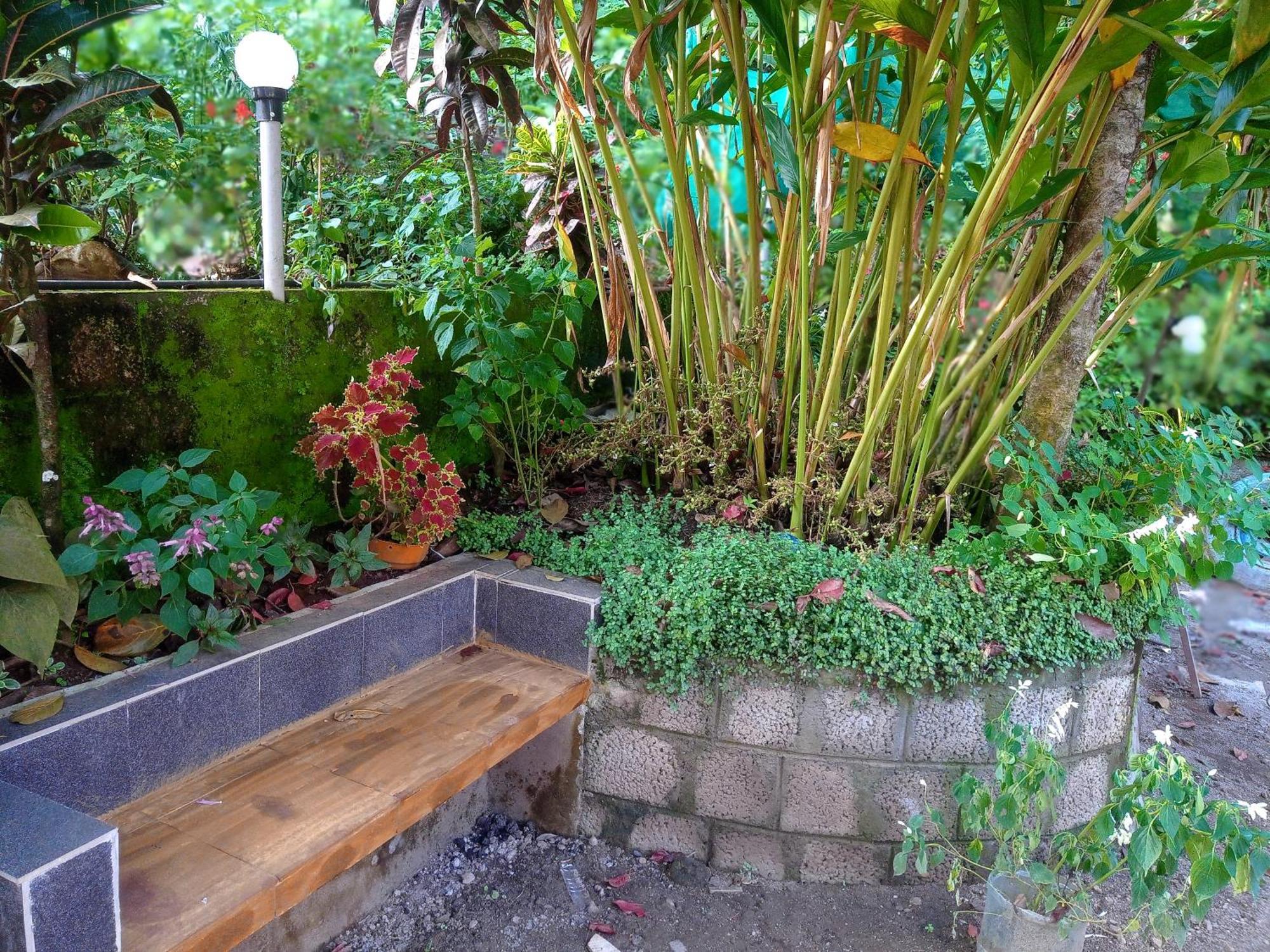 Munnar Home Stay Teadrops Plantation Villa المظهر الخارجي الصورة
