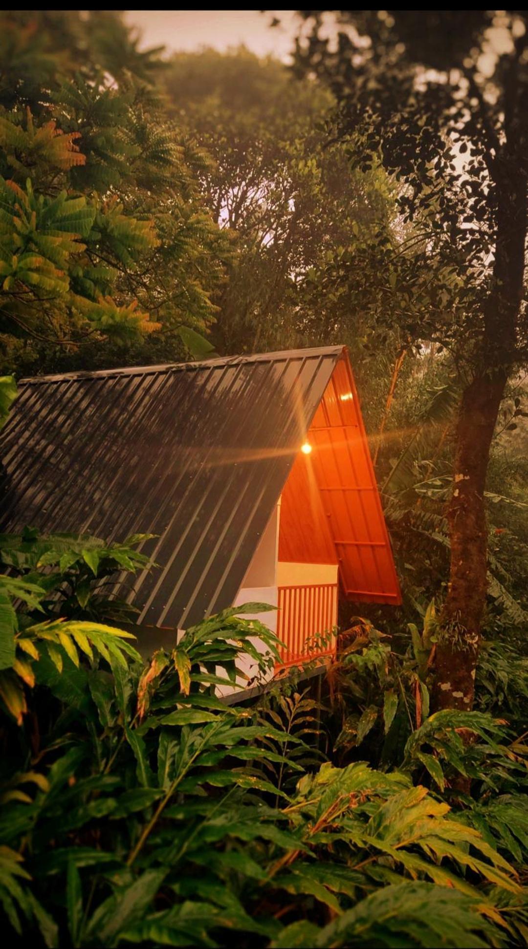 Munnar Home Stay Teadrops Plantation Villa المظهر الخارجي الصورة