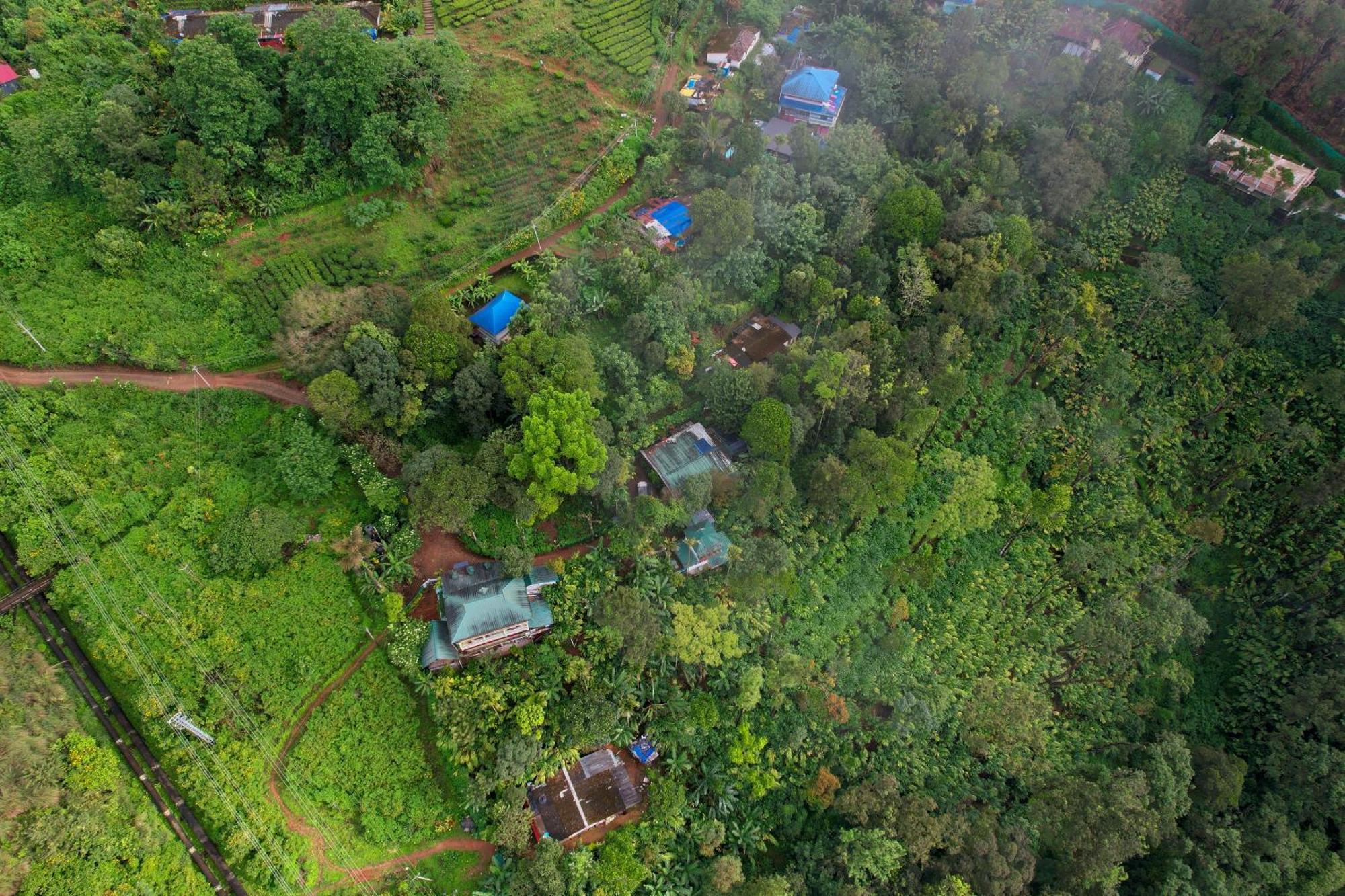 Munnar Home Stay Teadrops Plantation Villa المظهر الخارجي الصورة